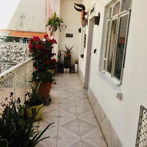 Casa Rubí, café galería
